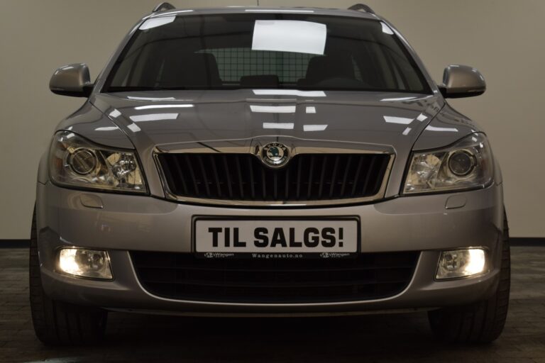 Front view of a silver Skoda car with "Til Salgs!" (For Sale!) on the license plate.